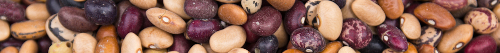 Just Beans
