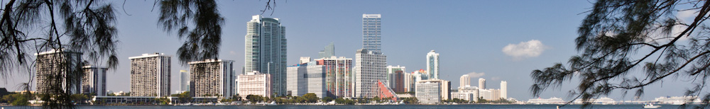 Miami Skyline