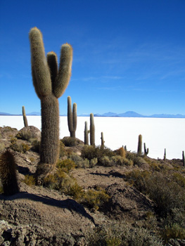 Isla de Pescadores