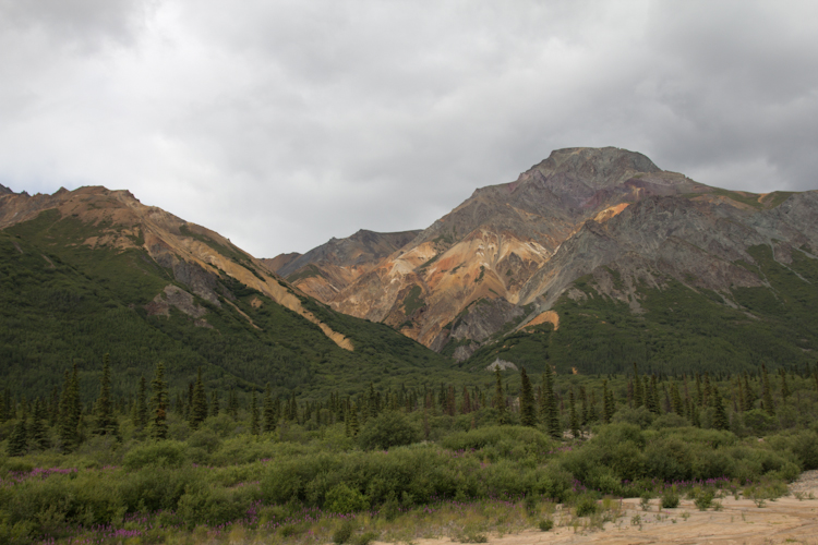 On the Denali Highway