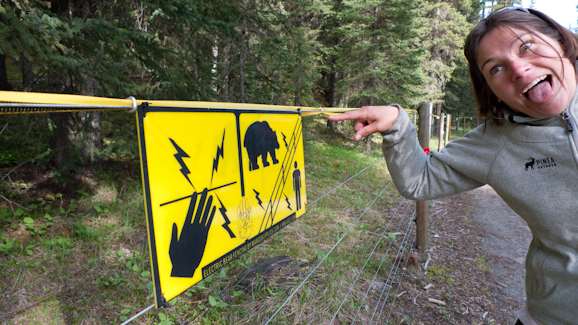 Electric Fences in Lake Louise