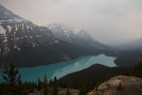 Peyto Lake