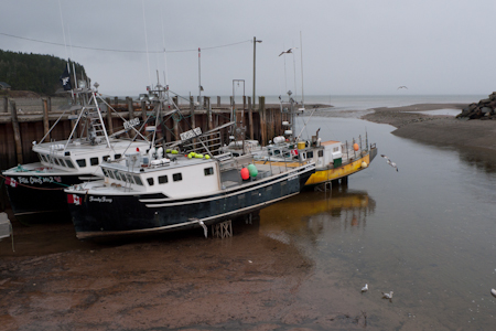 Low Tide