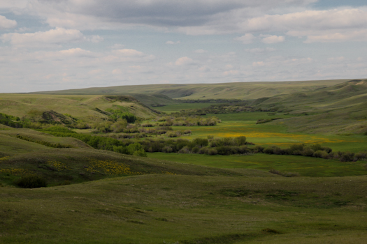 Grasslands National Park