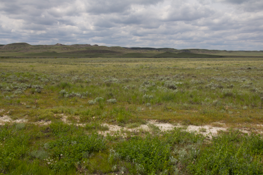 Grasslands National Park