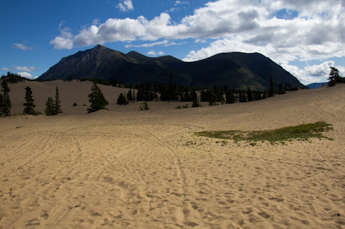 Carcross Desert