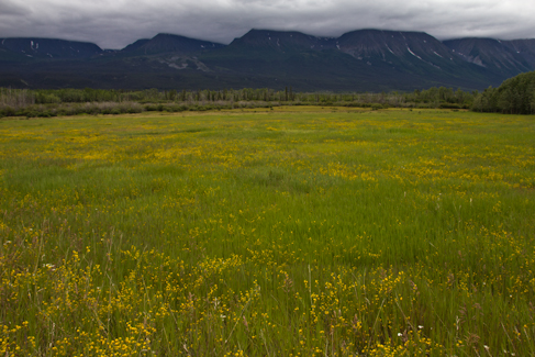 Alaska Highway