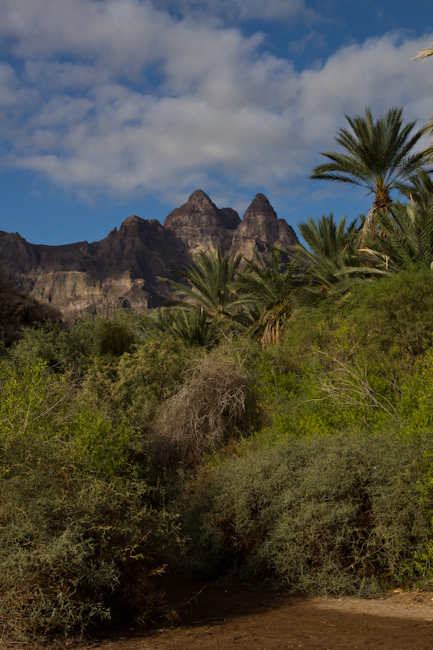 Juncalito Mountains