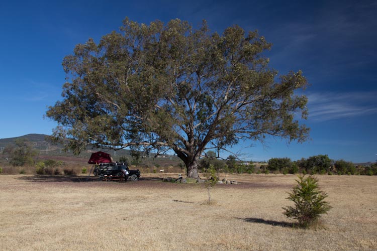 Mazamitla Campsite