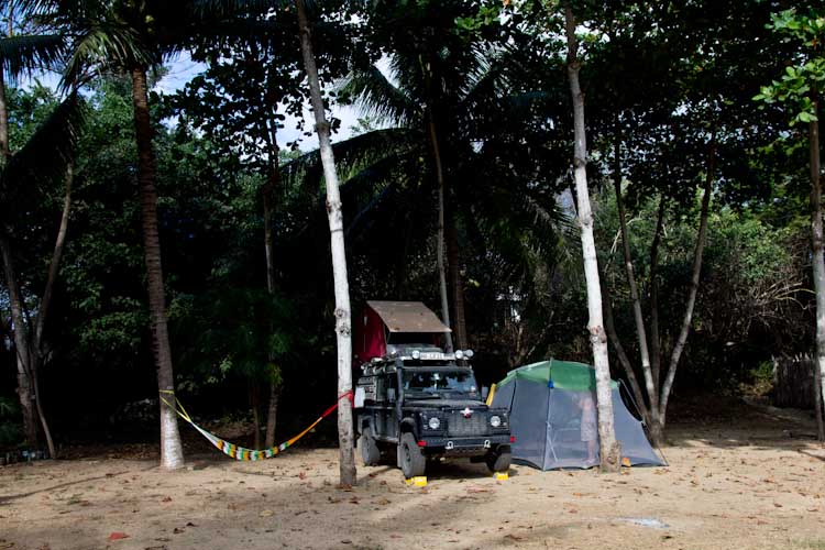 Our nice and shady campsite