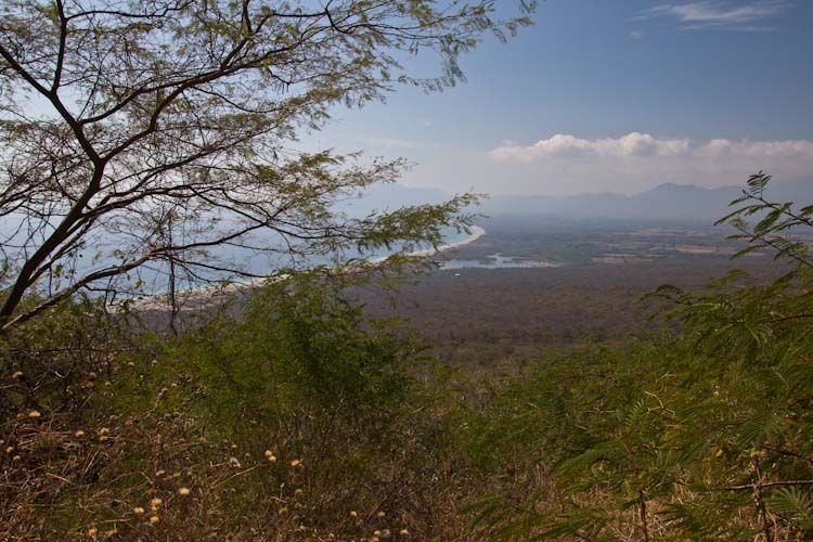 The road to Chiapas along the coast ...