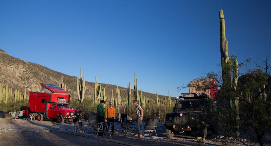 Campsite between cactus