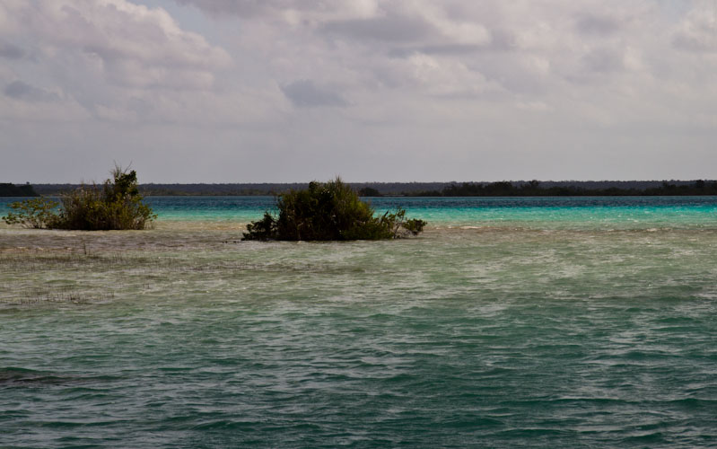 Some colours of the laguna