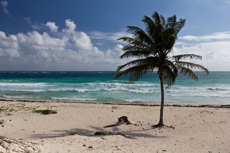 The Beach of Sian Kaan