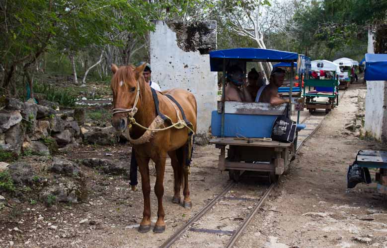 On the way to the next Cenote