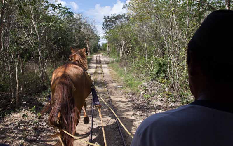 On the way to the Cenotes