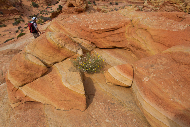 ... and some more funny coloured stones ...