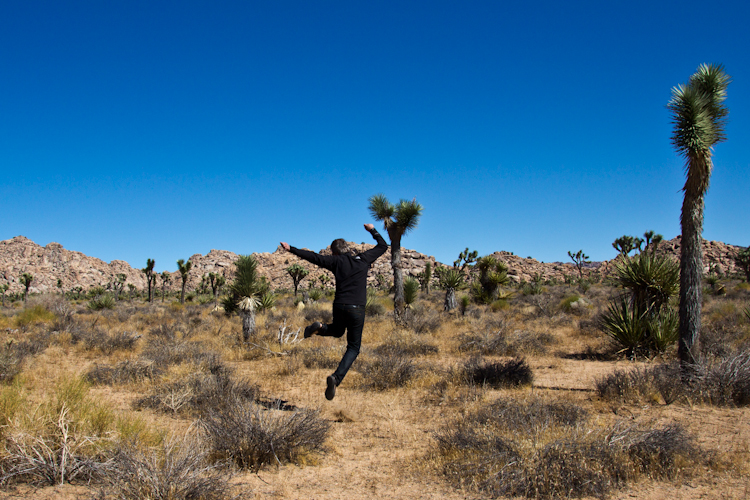 Joshua Tree NP