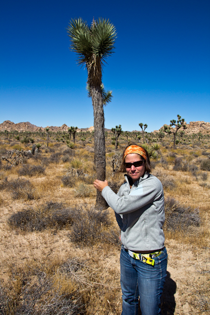 Joshua Tree NP