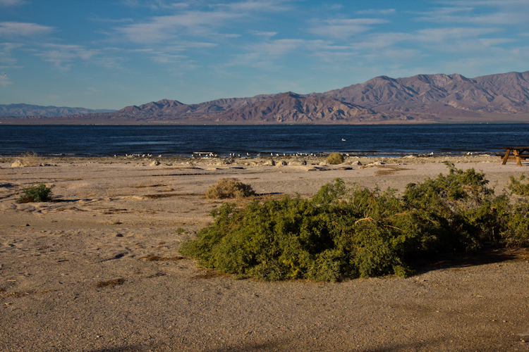 Salton Sea