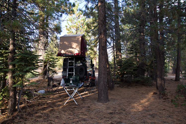 we love the National Forests