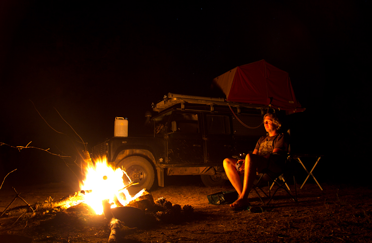 Nighttime in the National Forest