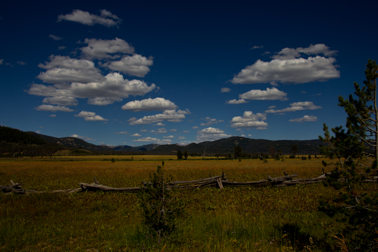 On Ponderosa Byway