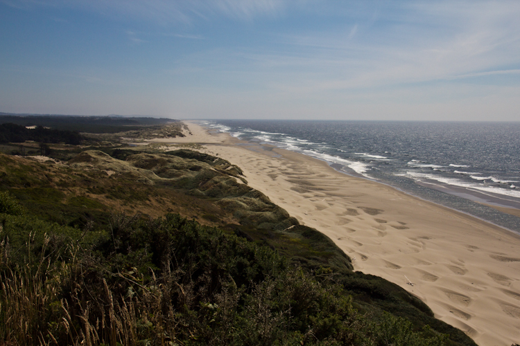 Oregon Dunes