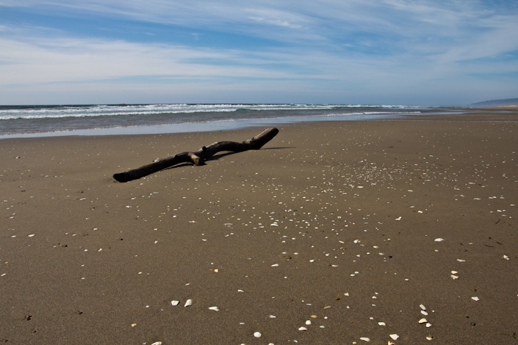 Oregon Dunes