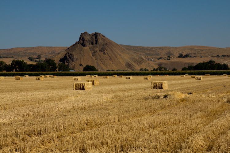 On Highway 20