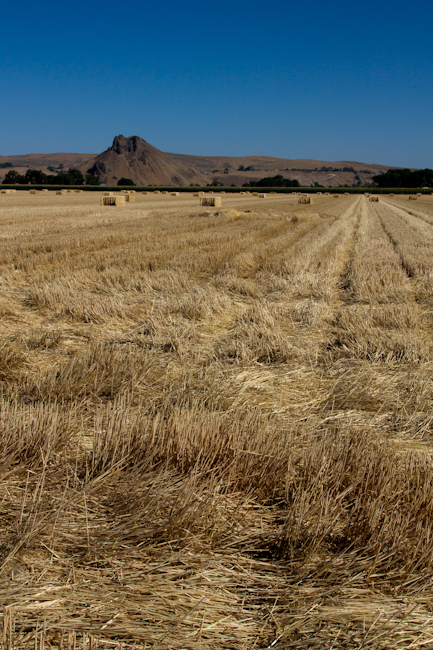 Nice Landscape on Highway 20