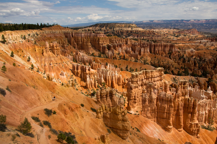 Hoodoos in Bryce