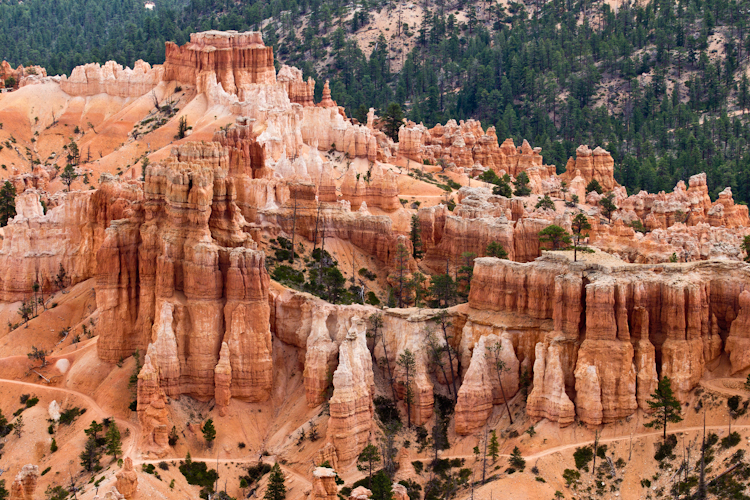 Bryce National Park