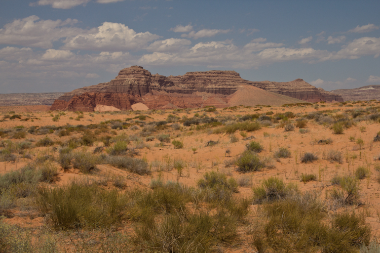 Southern Part of Capital Reef NP