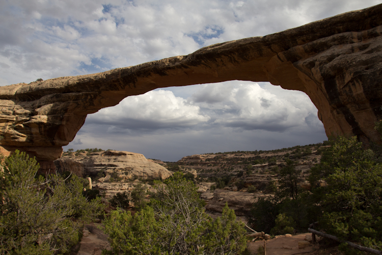 Natural Bridges