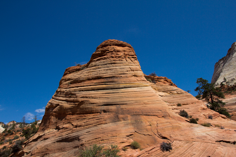 Zion National Park