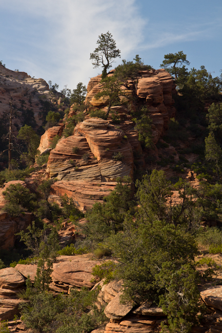 Landscape in Zion National Park