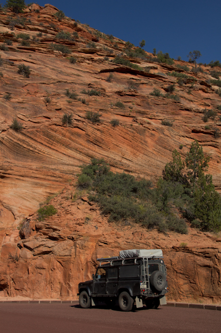 Landscape in Zion National Park