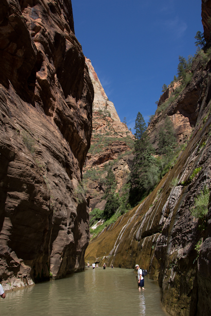 The Narrows in Zion