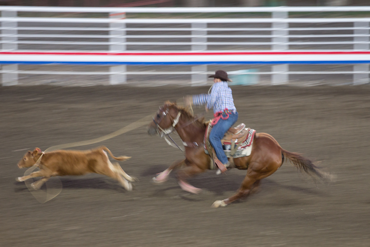 Rodeo in Cody