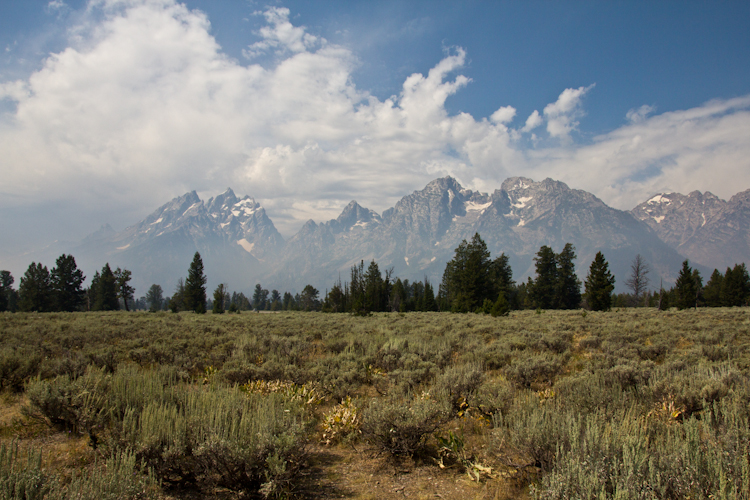 Landscape Grand Teton