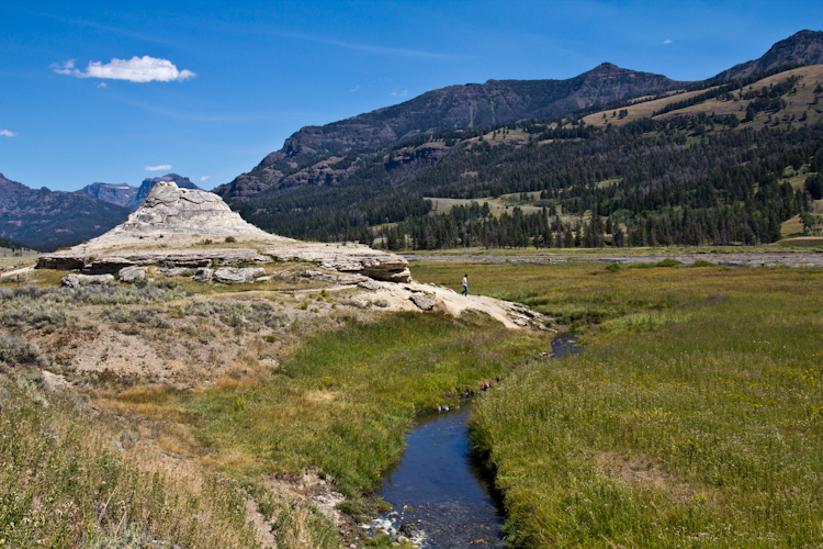 Yellowstone