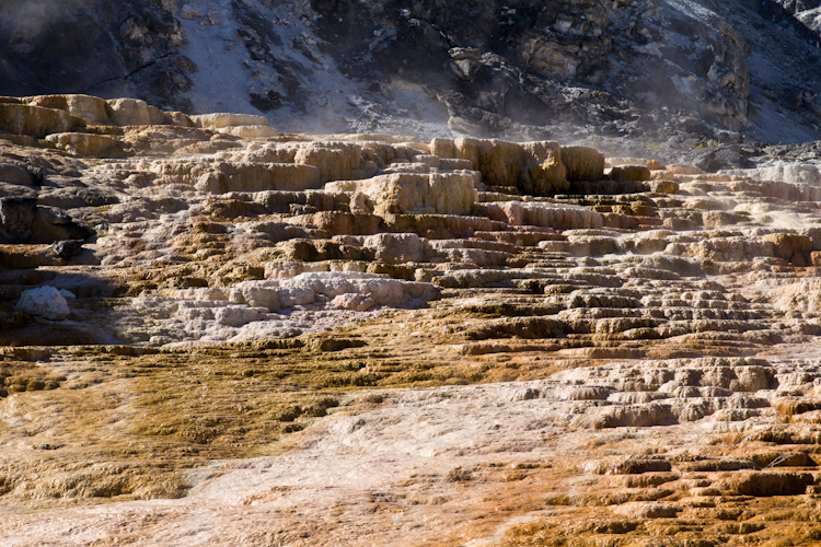 Mammoth Hot Spring