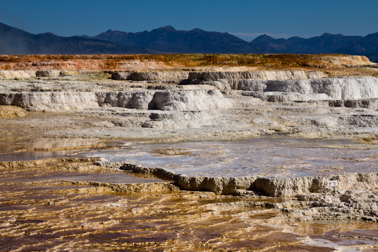 Mammoth Hot Spring