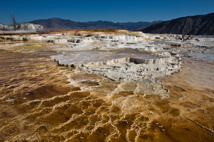 Mammoth Hot Spring