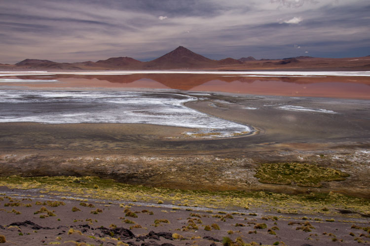 Bolivia: Altiplano - Lagoon Colorada