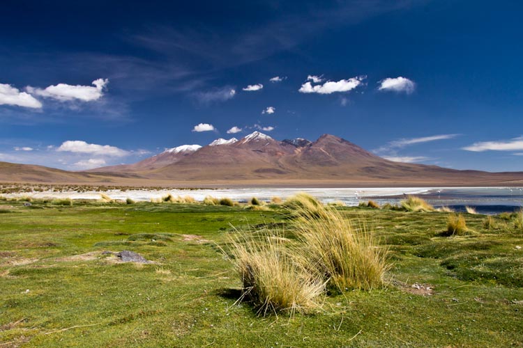 Bolivia: Altiplano - on the way