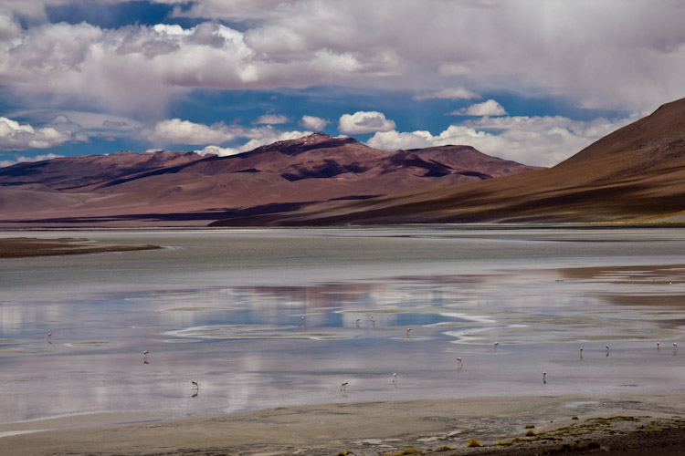 Bolivia: Altiplano - on the way