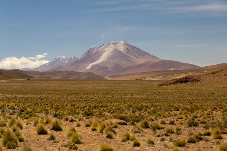 Bolivia: Altiplano - on the way: Volcan Ollague