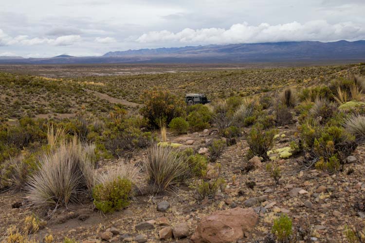 Bolivia: Sajama NP - nice Campspot